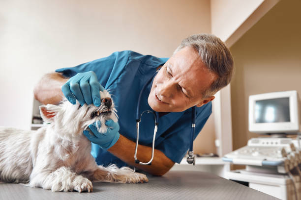 Best Emergency Denture Repair in Carrabelle, FL